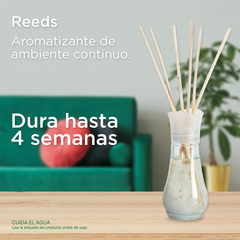 Air Wick® Reed Diffuser Aromatizante de Ambiente, Manzana & Canela - 6 varitas y 50 ml.